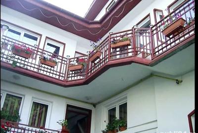 Casă cu 8 camere în Pache Protopopescu - 8