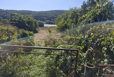 Casa si teren de vanzare - 4