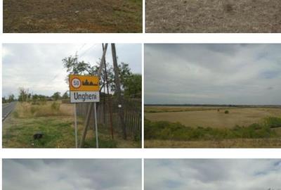 Teren de 5000 mp, în Ungheni - 2