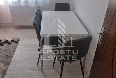 Apartament 3 camere,decomandat,centrala proprie, petfriendly, Sagului - 3