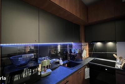 Apartament cu 2 camere, mobilat în Cișmigiu - 17