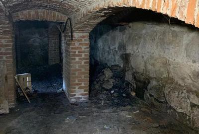 Casa de Vanzare in Boro?neu Mare 130 mp, Teren 3033 mp - 17