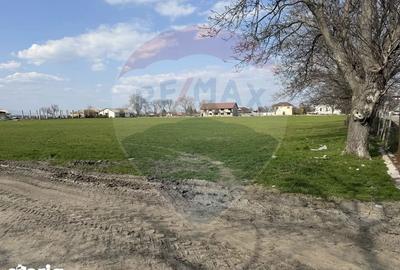Teren de 5000000 mp, în Slobozia Ciorăști - 5