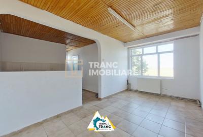 Birou, de 460 mp, în Sânnicolau Mic - 10