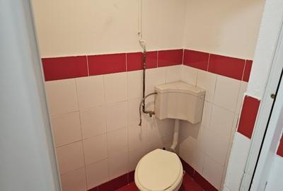 Spatiu comercial - 12