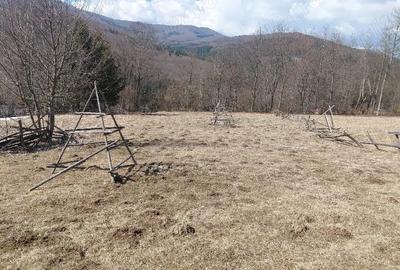 Teren de 1300 mp, în Valea Doftanei - 1