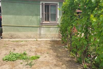 Casa de vanzare in Craiova pe Raului, teren mare - 3