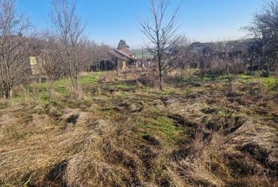 Spațiu comercial, în Gârlești - 8