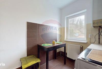Apartament cu 2 camere decomandat, mobilat în Central - 13