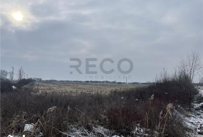 Teren de 26000 mp, în Cefa
