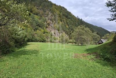 Teren Intravilan de Vânzare – 3622 mp – Râu Sadului - 1