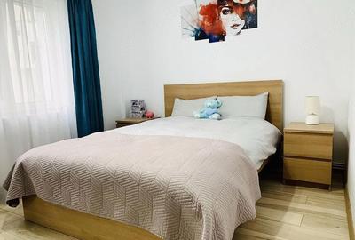 Apartament cu 2 camere semidecomandat în Prundu - 2