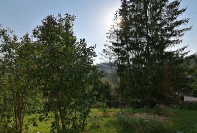 Casă cu 3 camere în Predeal - 3