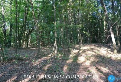 Teren de 6700 mp, în Central - 11