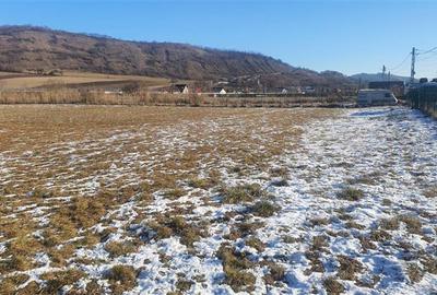 Teren intravilan de 4300 mp, în Ivănești - 5