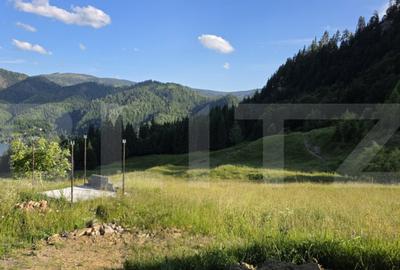 ???? Teren intravilan, de vanzare, 5 hectare, zona Colibita - 2