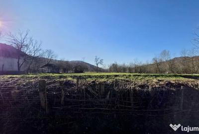 Teren de 4549 mp, în Gura Vitioarei - 5