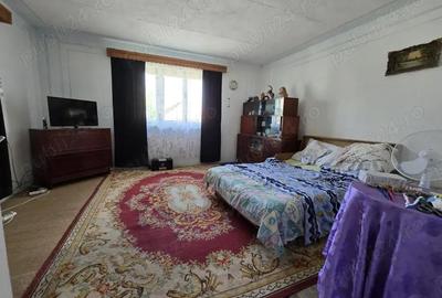 Casă cu 3 camere în Peceiu - 7