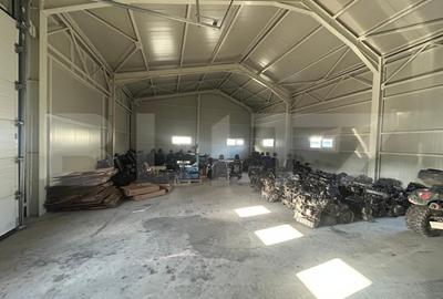 HALA | VIFORATA | 250 MP | 600 MP TEREN | 380 (30KW) | TOATE UTILITATILE | - 4