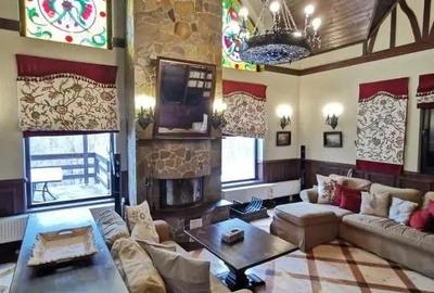 Casa de vacanta deosebita Breaza- Nistoresti - 8