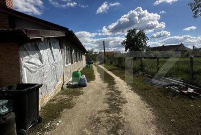 Casă cu 4 camere cu Teren 3018 Mp în Doba - 8