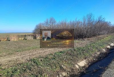 Teren de 5000 mp, în Tecuci - 3