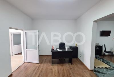 Hala industriala cu birou de inchiriat in Sebes zona centrala - 10