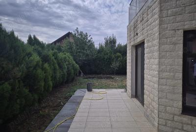 Casa de inchiriat in comuna Berceni Ilfov - 7