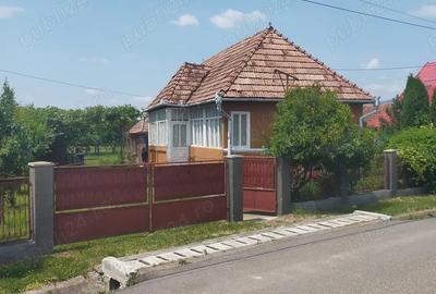 Vand casa Ru?ii Munti - 4