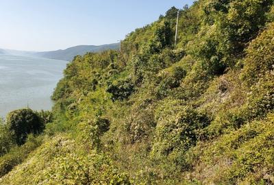 Dubova- 3000mp- proiect deosebit-iesire la Dunare 95m - 35