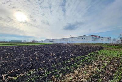 Teren Construcții extravilan de 28100 mp, în Hălchiu