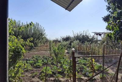 Casă cu 3 camere cu Teren 2826 Mp în Saca - 2