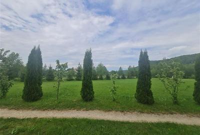 Teren Construcții intravilan de 23000 mp, în Glăjărie - 38