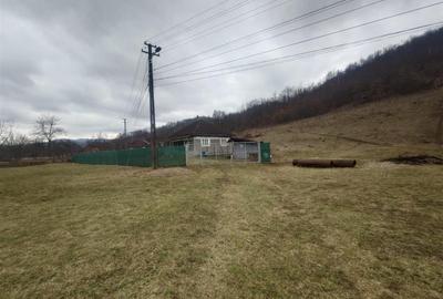 Casă cu 3 camere cu Teren 12861 Mp în Luncoiu de Jos - 18