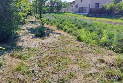 Spațiu comercial, în Nord - 8