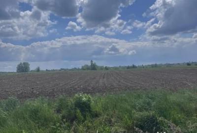 Teren de 7800 mp, în Rădăuți - 3