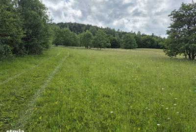 Casă cu Teren 5600 Mp în Lisnău - 6