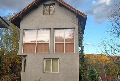 Casa Govora Sat - Gurisoara , 2 case in aceeasi curte , vand sau schimb Casa Govora Sat - Gurisoara , 2 case in aceeasi curte , vand sau schimb - 8