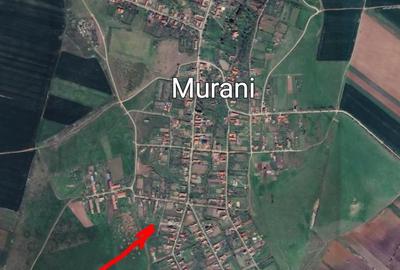 Teren de 3050 mp, în Murani - 1