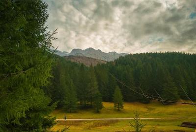Teren intravilan panoramic 4.600mp,view iconic Piatra Craiul - 18