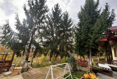 Casă cu 4 camere cu Teren 1527 Mp în Tăuții de Sus - 6