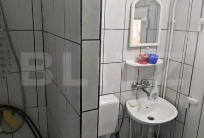 Casă cu 2 camere în Salatiu - 9