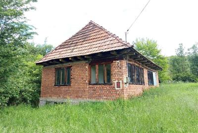 Teren agricol extravilan de 16000 mp, în Borlovenii Noi - 19