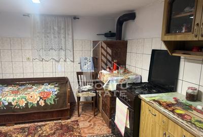 Casa individuala cu teren mare in Remetea Mare - 7