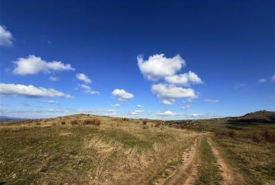 Comision 0% Oportunitate investitie teren extravilan  Salicea - 1