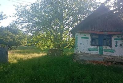 Casă cu 2 camere în Lăpușnic - 2