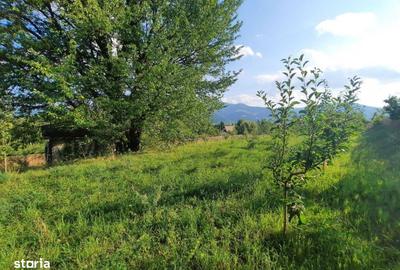 Teren de 1091 mp, în Central