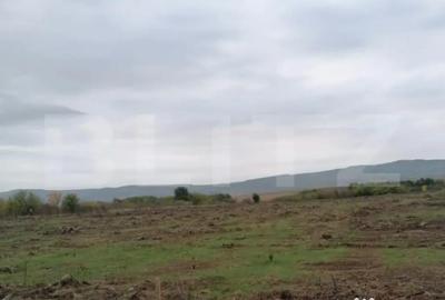 Teren de 4500 mp, în Tomești - 1