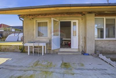 Casă cu 3 camere cu Teren 1439 Mp în Satu Mare - 14