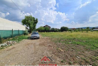 Casă cu Teren 3727 Mp în Bănești - 3